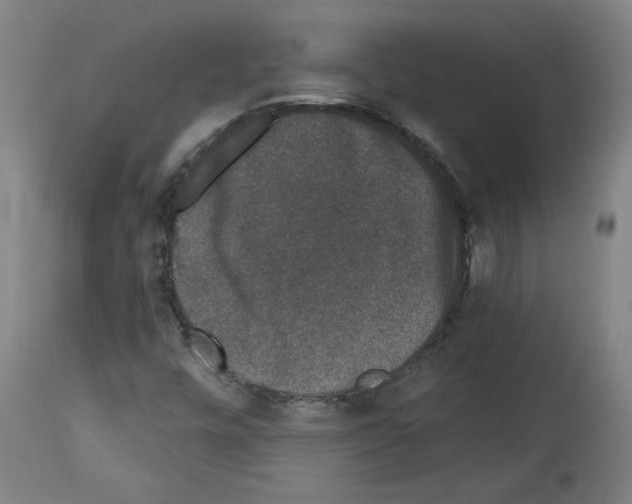 X0000113981448200911131044