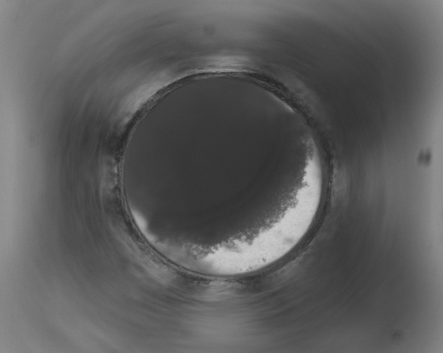 X0000113981449200911131044