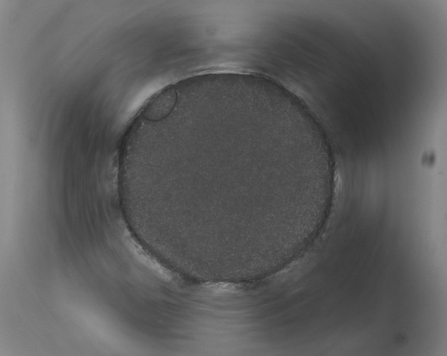 X0000113981450200911131044