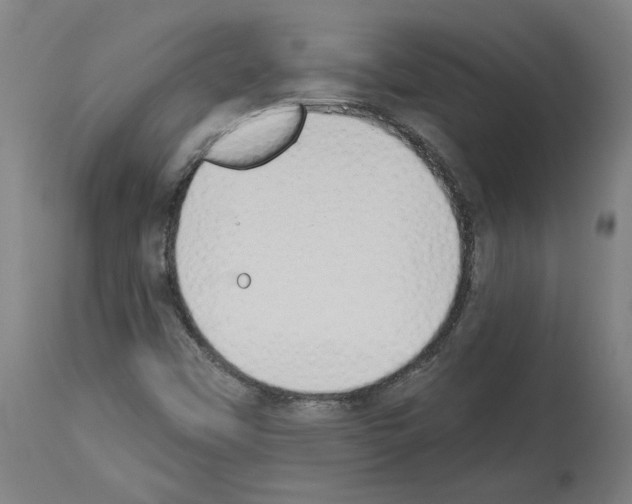 X0000113981451200911131044
