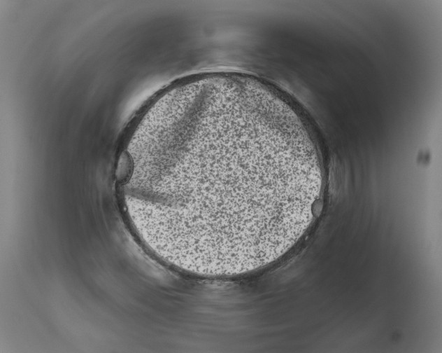X0000113981452200911131044