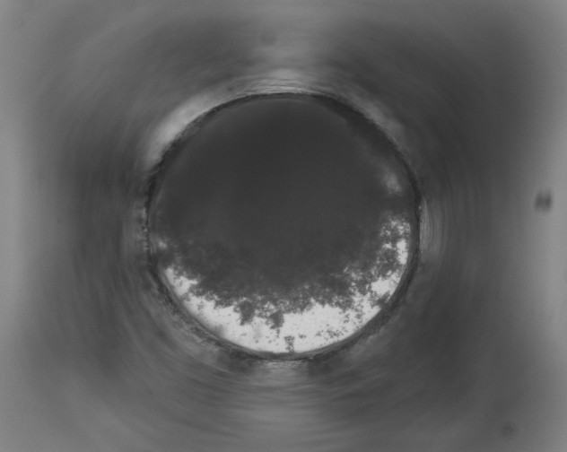 X0000113981453200911131044