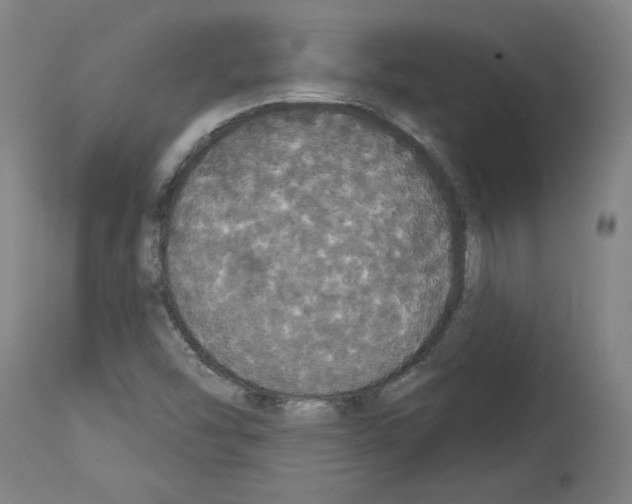 X0000113981454200911131044