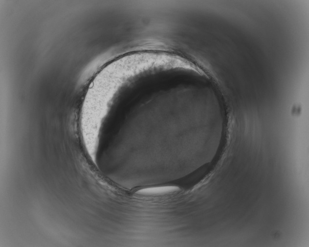 X0000113981455200911131044