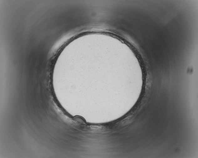 X0000113981456200911131044