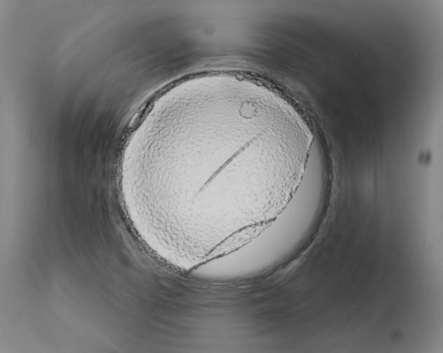 X0000113981457200911131044