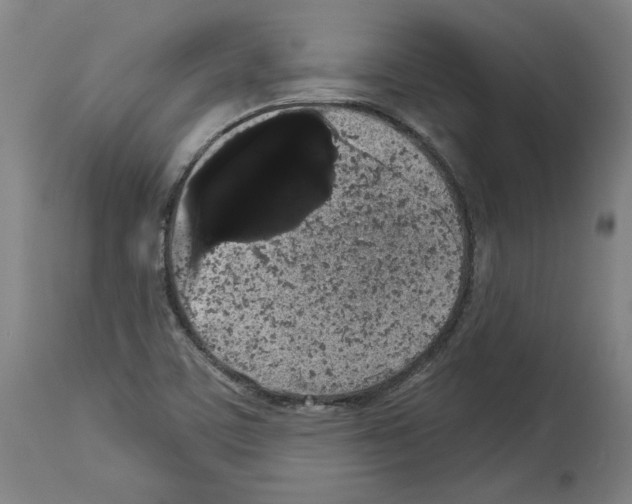 X0000113981459200911131044
