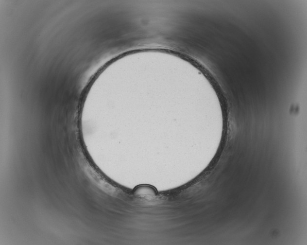 X0000113981460200911131044