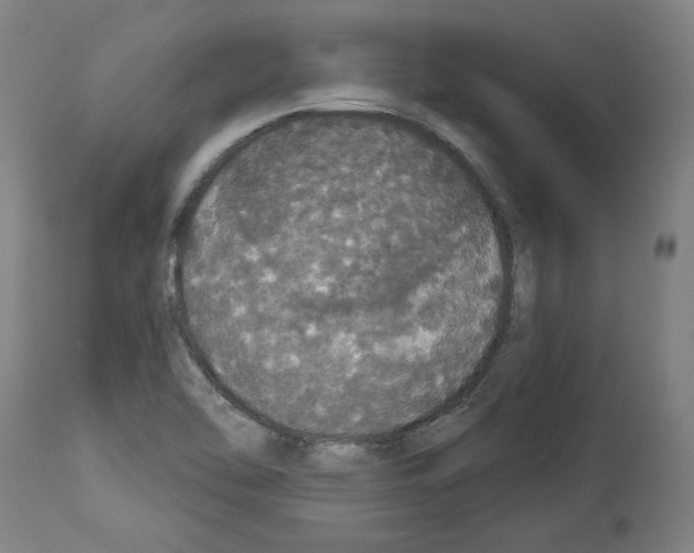 X0000113981462200911131044