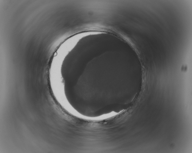 X0000113981463200911131044