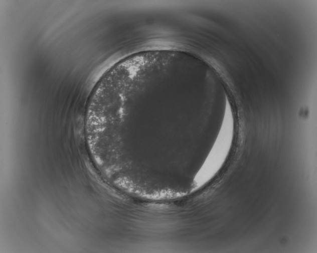 X0000113981465200911131044