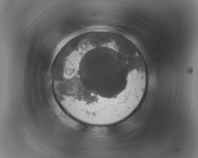 X0000113981466200911131044