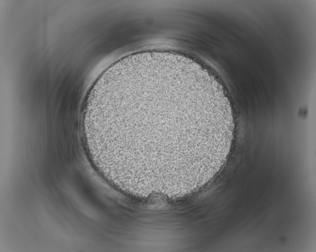 X0000113981467200911131044