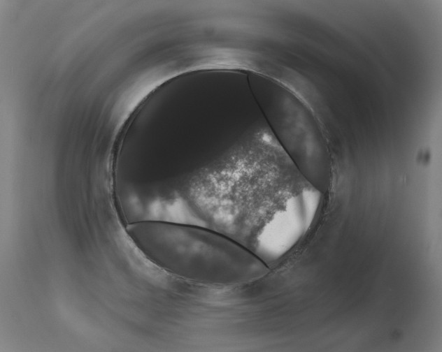 X0000113981468200911131044