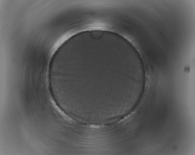 X0000113981469200911131044