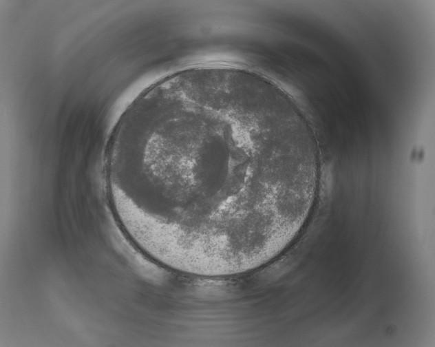 X0000113981470200911131044