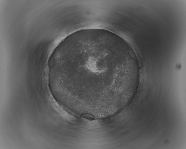 X0000113981472200911131044
