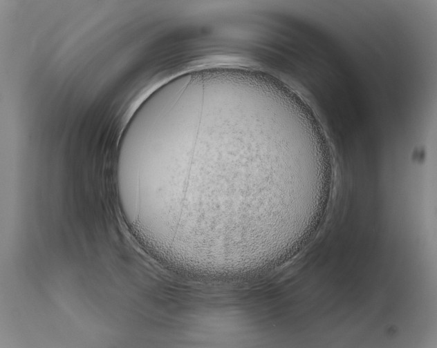 X0000113981473200911131044