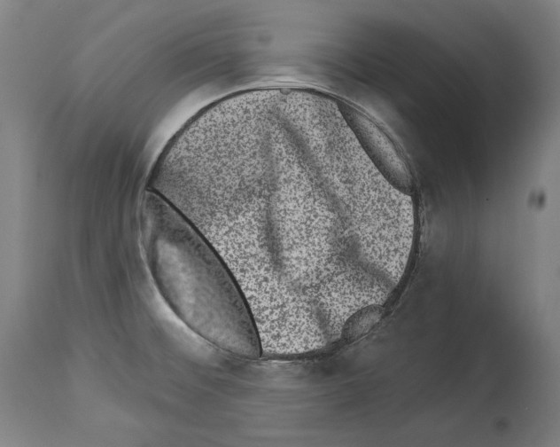 X0000113981476200911131044