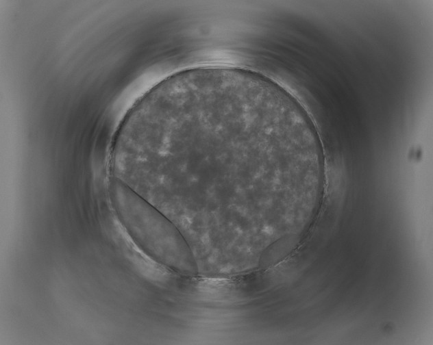 X0000113981477200911131043