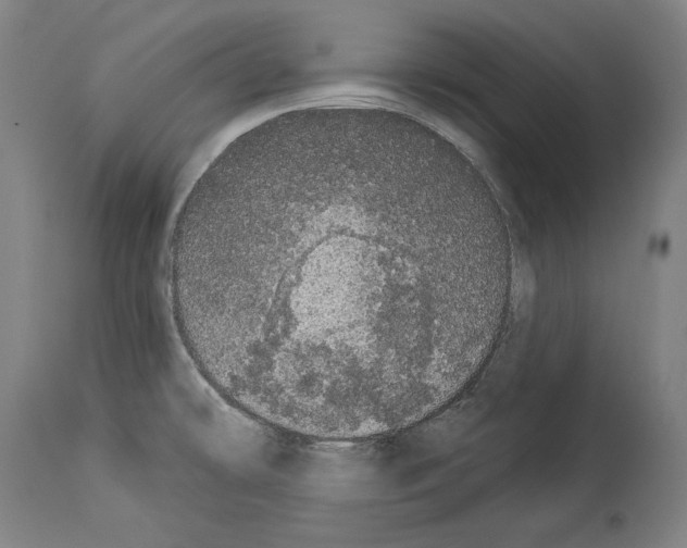 X0000113981478200911131043
