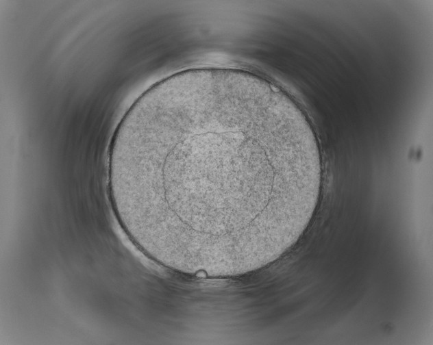 X0000113981479200911131043