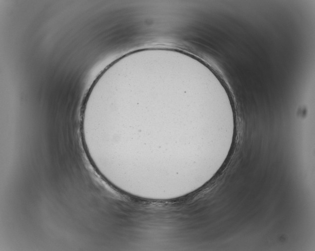 X0000113981480200911131043
