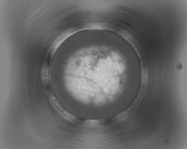 X0000113981481200911131043