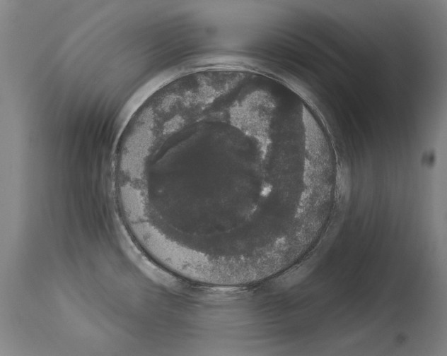 X0000113981482200911131043