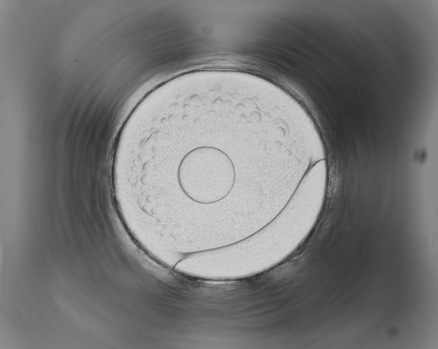 X0000113981483200911131043