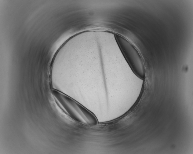 X0000113981484200911131043