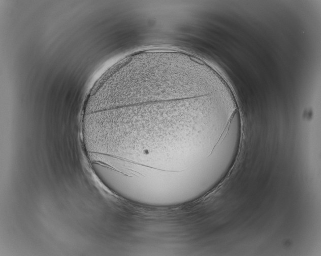 X0000113981485200911131043