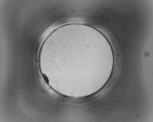 X0000113981488200911131043
