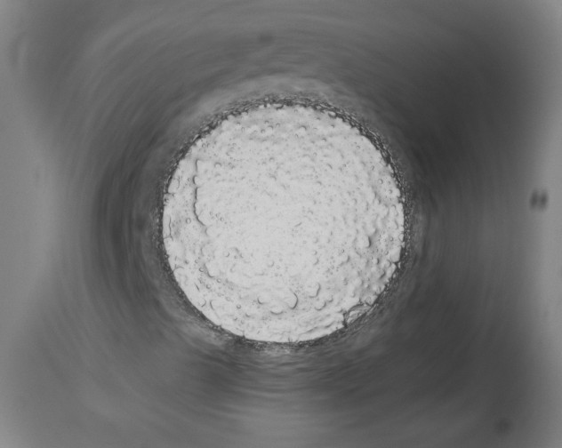 X0000113981489200911131043