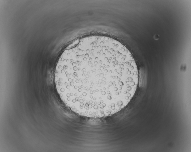 X0000113981491200911131043