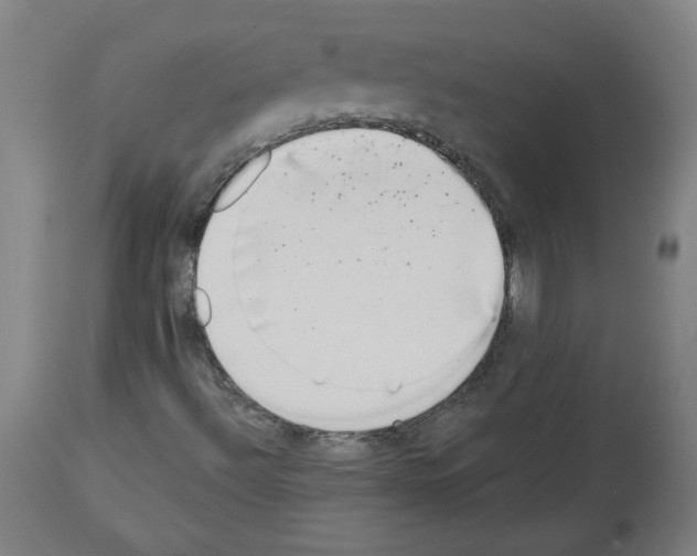 X0000113981492200911131043