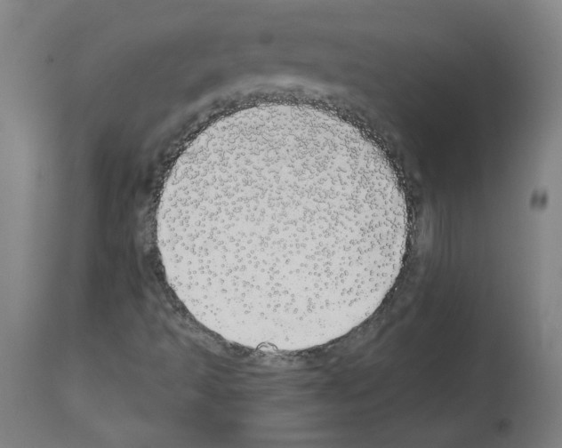 X0000113981493200911131043
