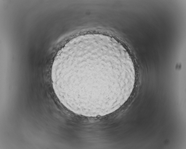 X0000113981494200911131043