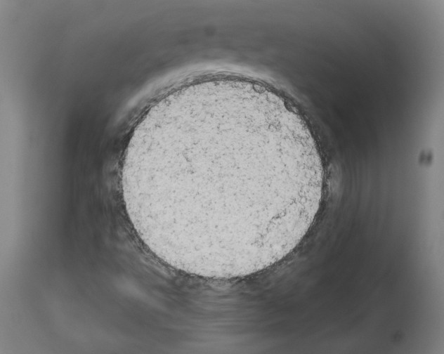 X0000113981495200911131043