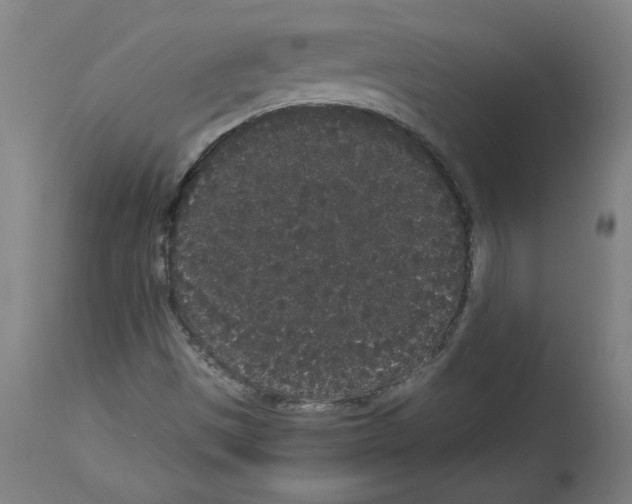 X0000113981497200911131043