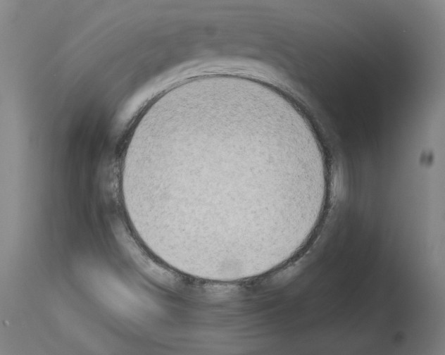 X0000113981498200911131043