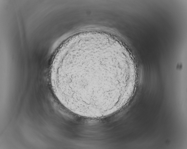 X0000113981501200911131043