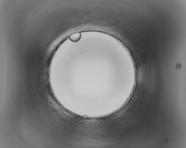 X0000113981502200911131043