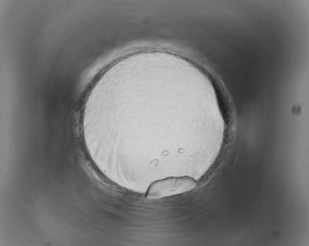 X0000113981503200911131043