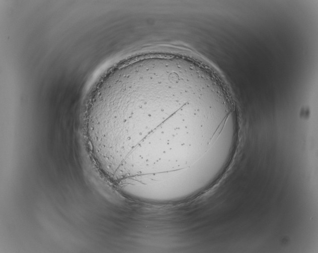 X0000113981506200911131043