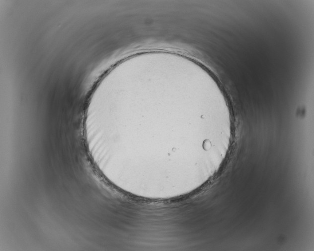 X0000113981507200911131043