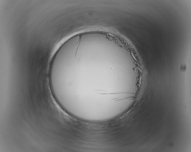 X0000113981508200911131043