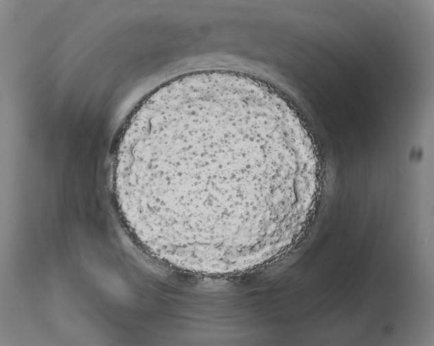 X0000113981509200911131043