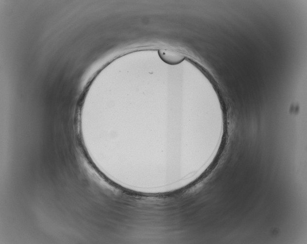 X0000113981510200911131043