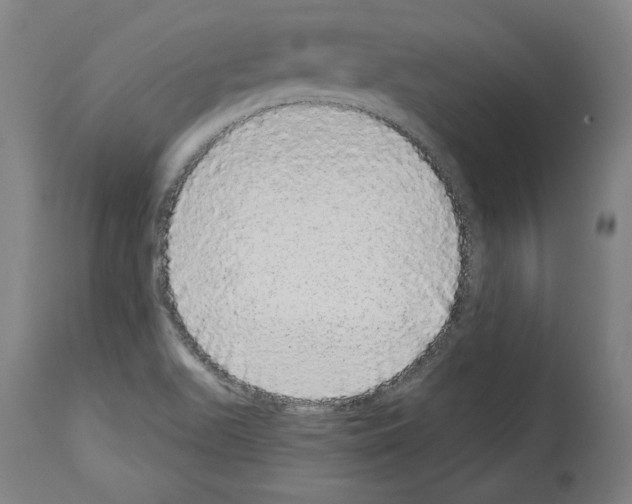X0000113981511200911131043